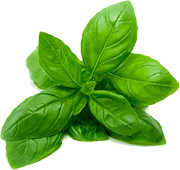 Decorative garnish shape