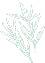 Decorative shape