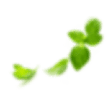 Decorative shape